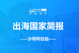 U钱包国际(中国)GO GLOBAL | 沙特阿拉伯国家简报